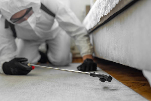 Professional Bed Bug Control technician working in Nicholas County County, KY